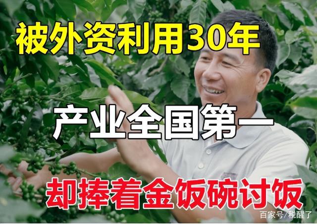 被外资利用30年云南咖啡之困：产业全国第1却充当廉价供应商(图1)