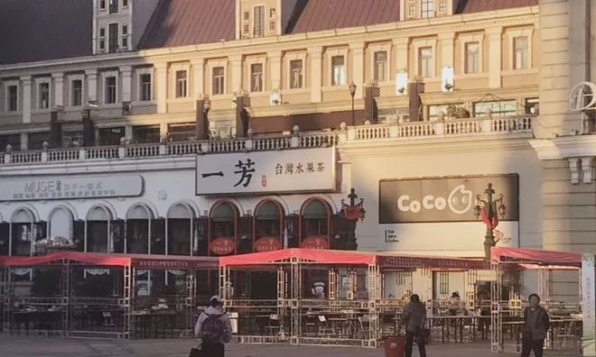 南方竞争激烈去东北开奶茶店行不行？ 哈尔滨茶饮市场调研报告(图5)