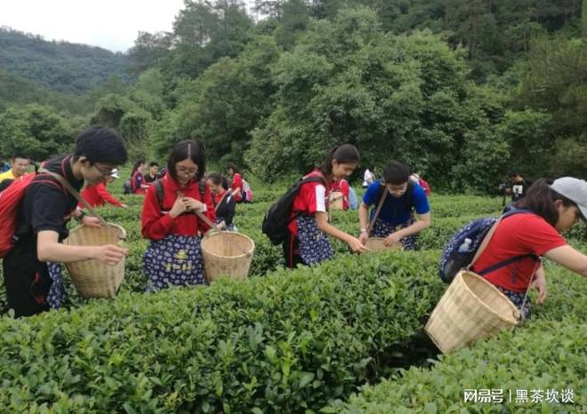 谢付亮：未来十年中国茶向何处去？(图4)