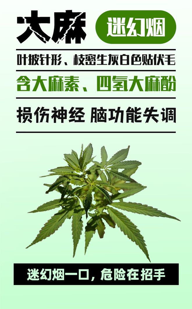 警惕“毒”物！记住这些防毒关键词千万要远离！(图2)